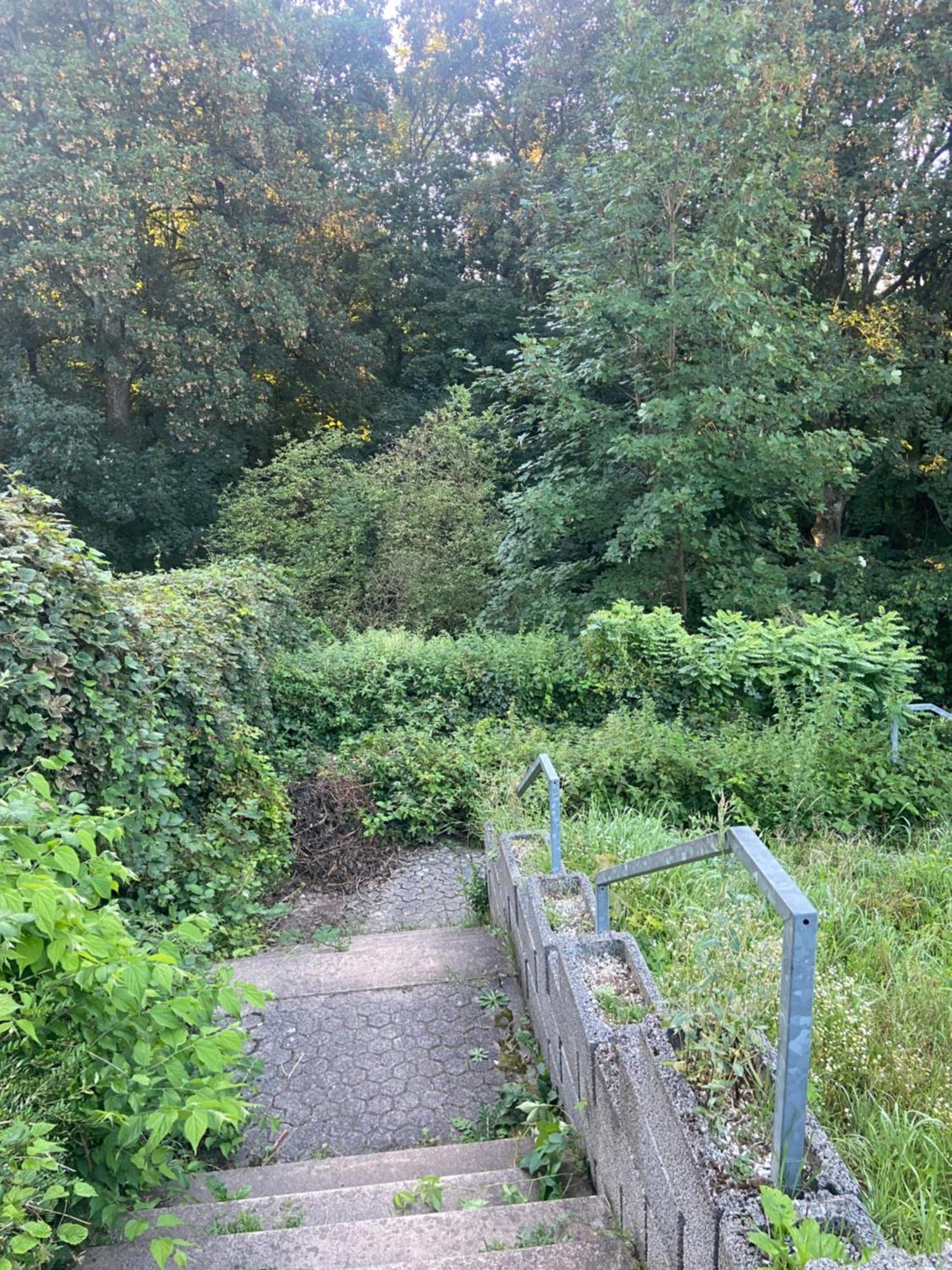 In Saarbruecken Stadtnahe Gemuetliche Wohnung Am Deutsch-Franzoesischen Garten 외부 사진